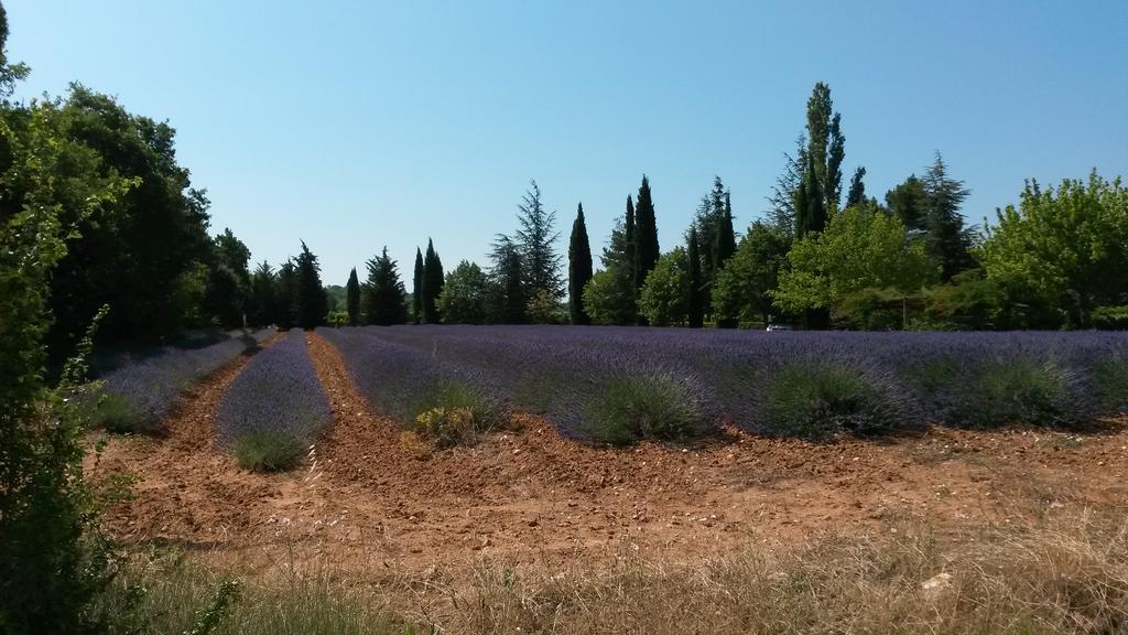 Residence Les Rossignols Roussillon en Isere المظهر الخارجي الصورة