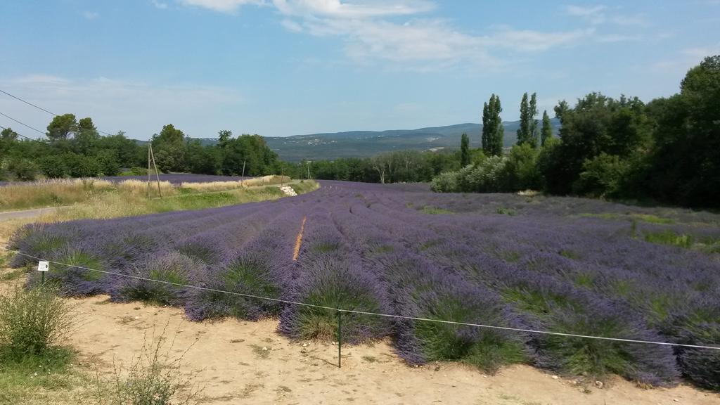 Residence Les Rossignols Roussillon en Isere المظهر الخارجي الصورة